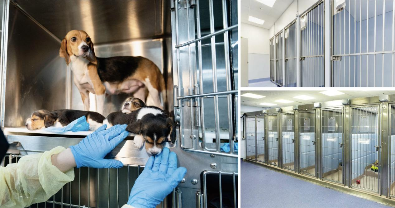 生命科學(xué)研究中心工程-實(shí)驗(yàn)犬動物房建設(shè) CEIDI西遞